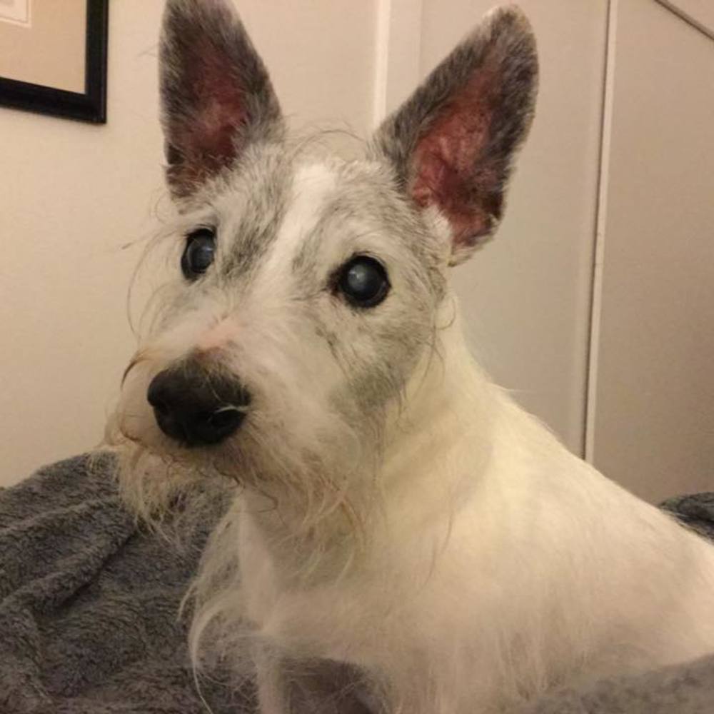 Meet your Posher, Peggy